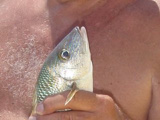 Belize Trip 2009 Mom's Photos